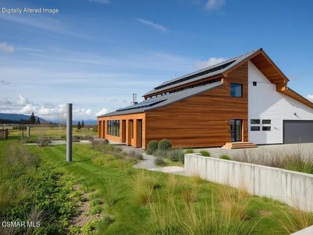 a view of a backyard with plants and large tree