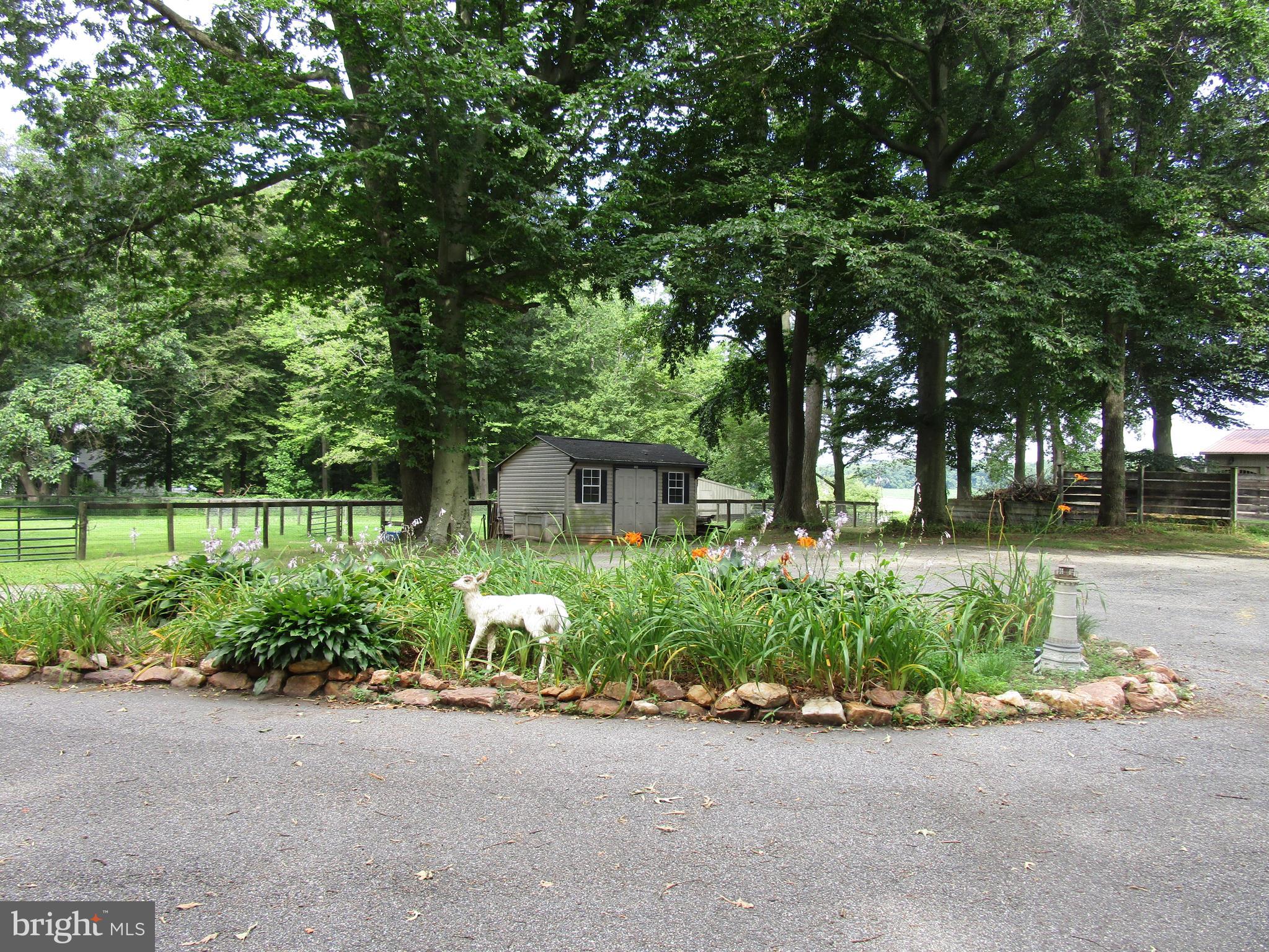 895 Warburton Road Elkton, MD 21921 - Photo 19 of 37 CIRCLE DRIVE IN BARN AREA