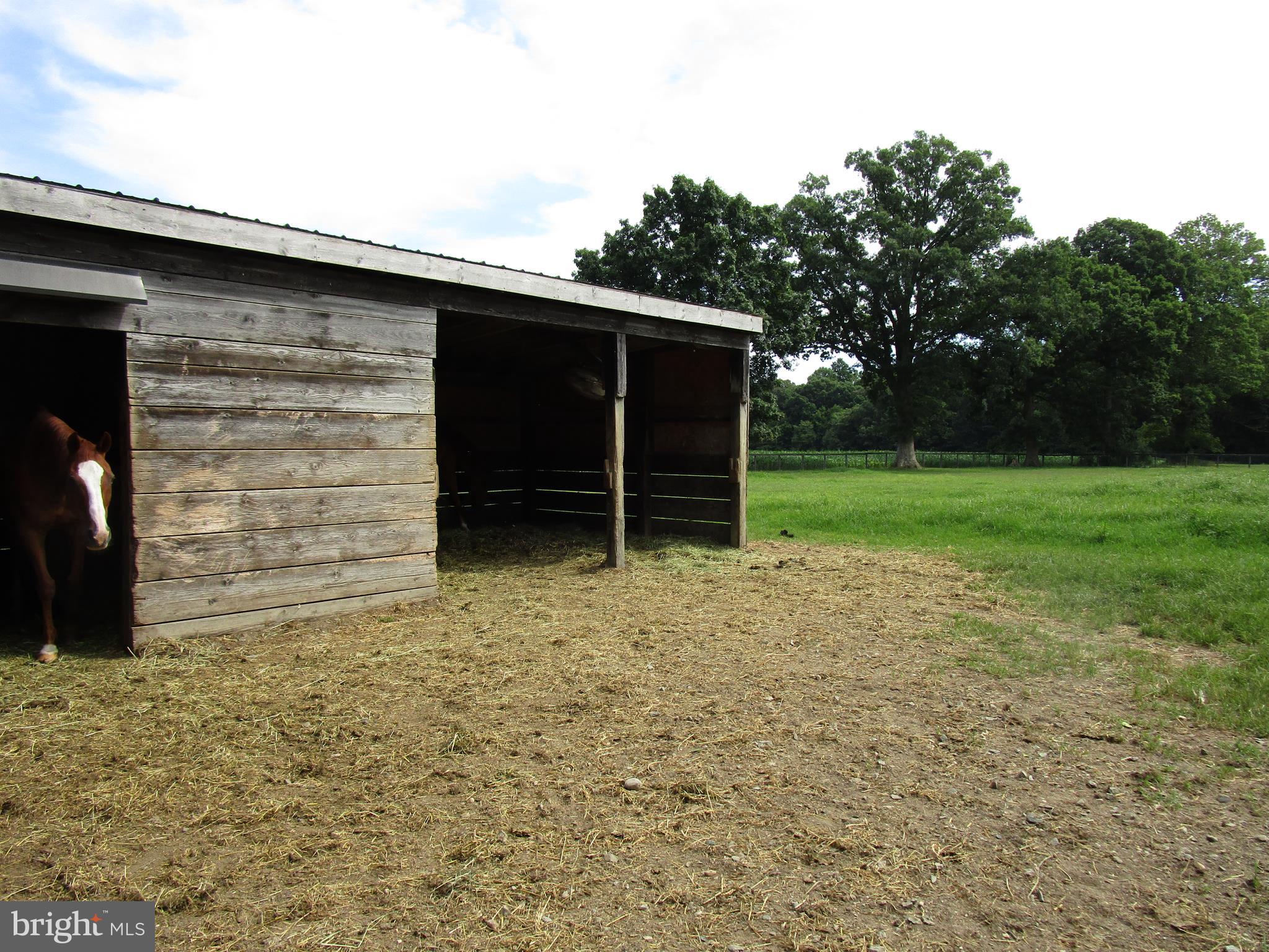 895 Warburton Road Elkton, MD 21921 - Photo 21 of 37 RUN IN SHED IN PADDOCK