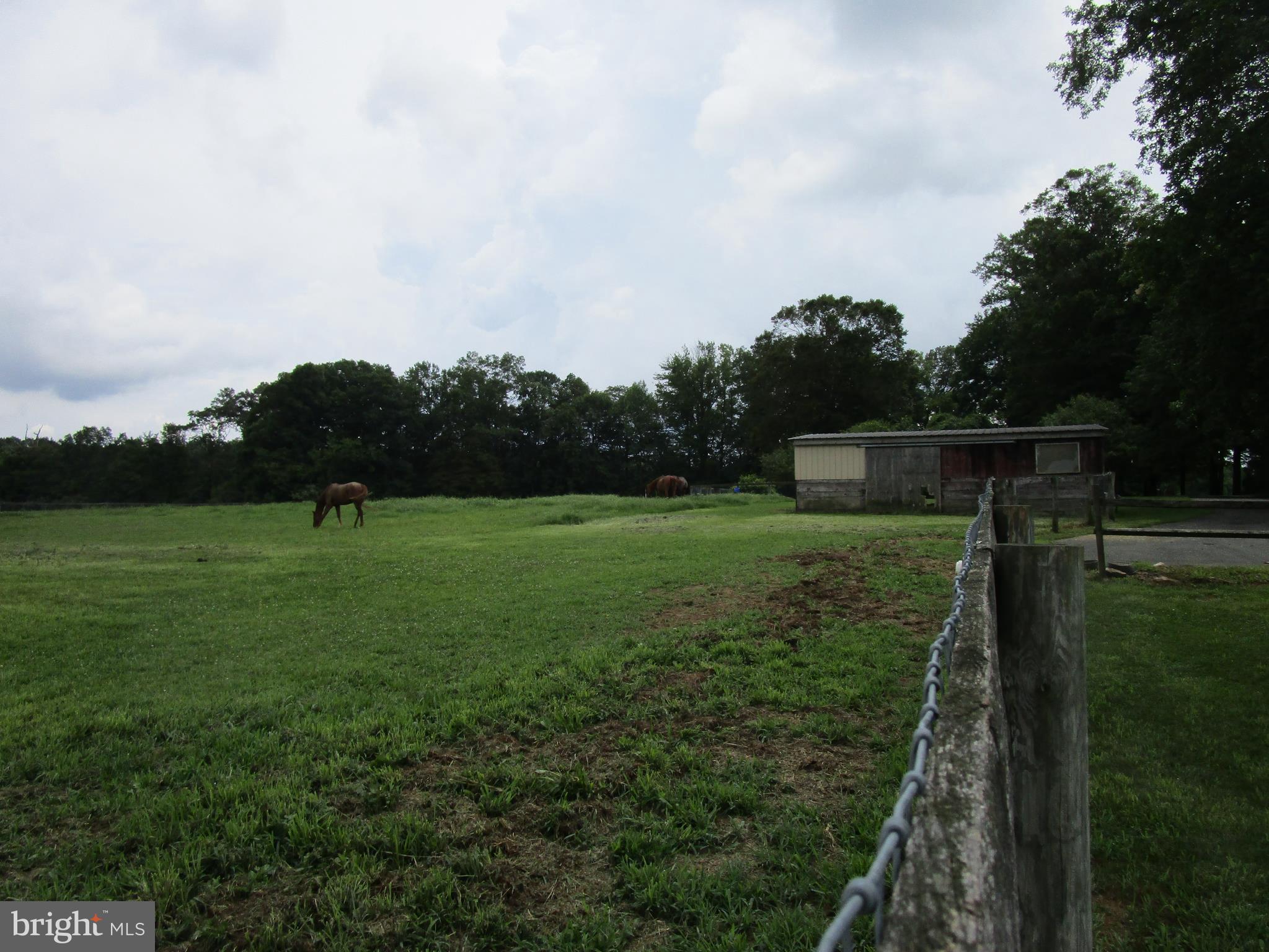 895 Warburton Road Elkton, MD 21921 - Photo 23 of 37 PADDOCK