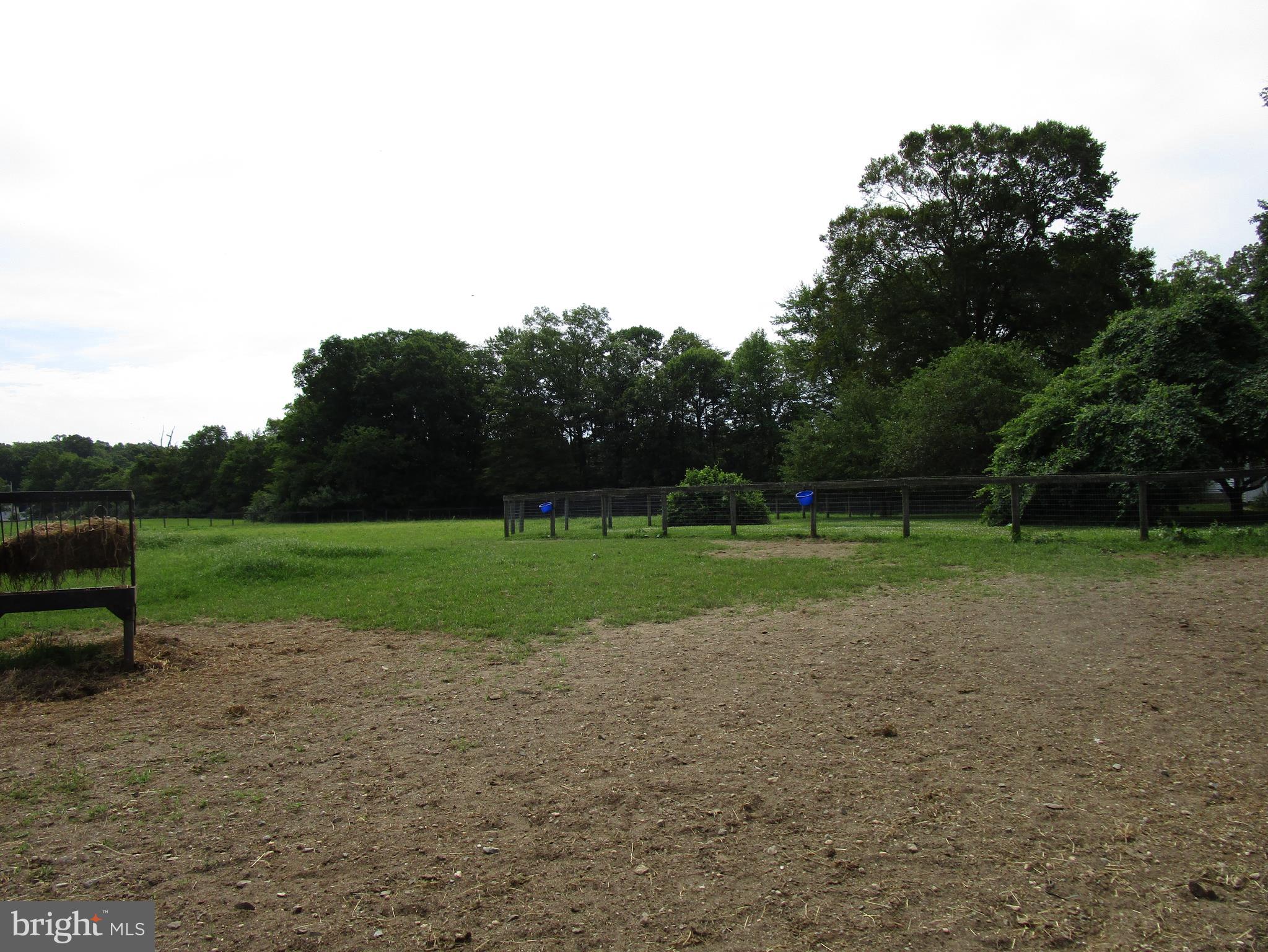 895 Warburton Road Elkton, MD 21921 - Photo 27 of 37 VIEW OF PADDOCK