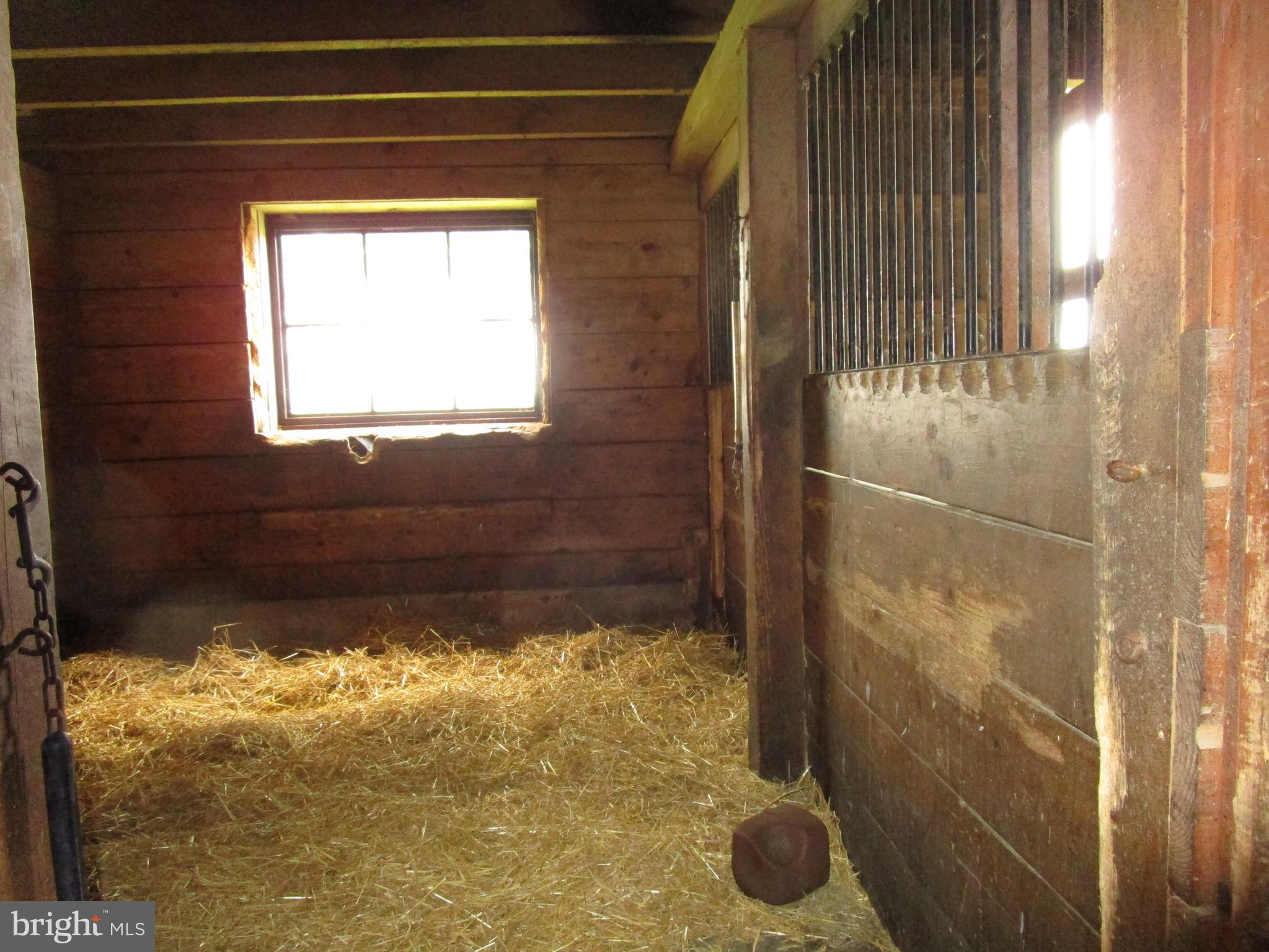 895 Warburton Road Elkton, MD 21921 - Photo 7 of 37 ONE OF THE MAIN STALLS