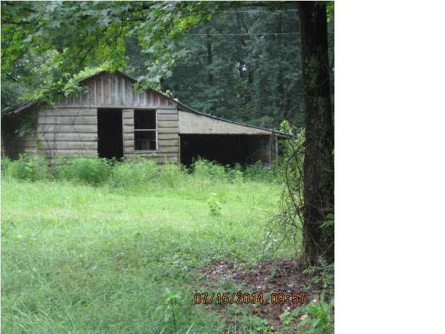 826 Chew Forks Road Benton, MS 39039 - Photo 3 of 4 Photo 3