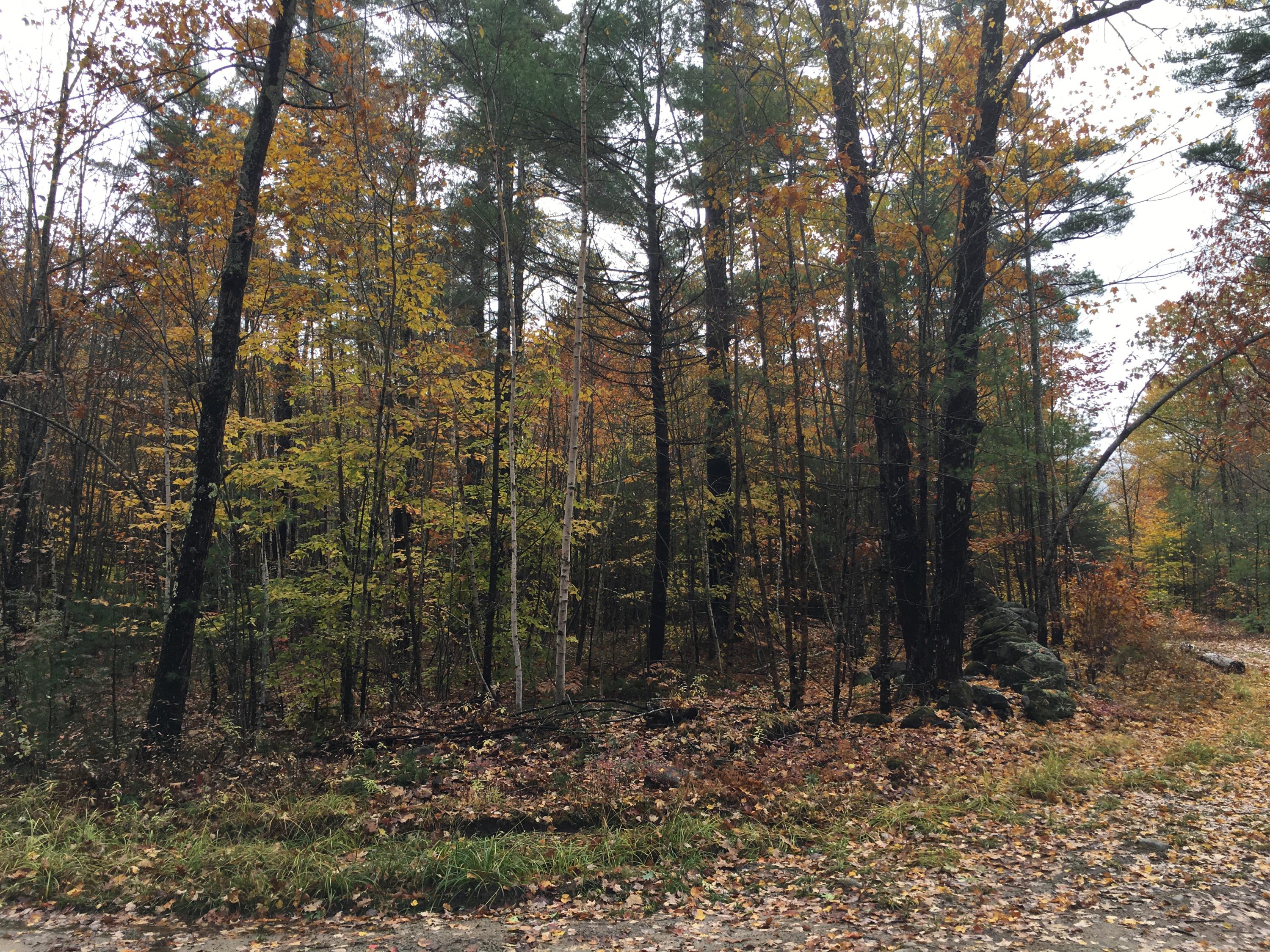 0 Knight Road East Waterboro, ME 04030 - Photo 10 of 20 pic2