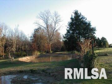 11362 Zeigler Mine Road Sparta, IL 62286 - Photo 4 of 5