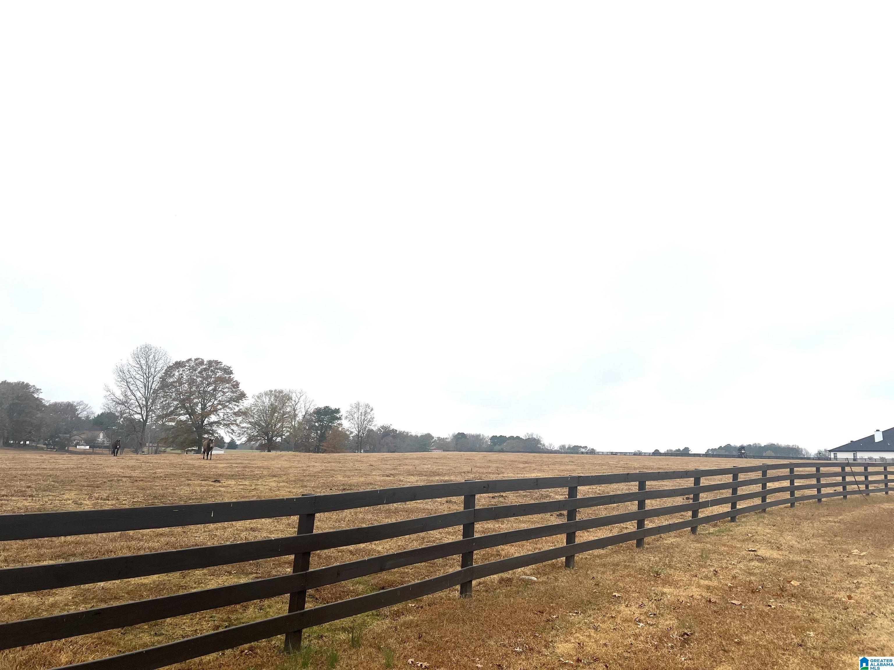 Lot 2 County Road 706, Unit 2 Cullman, AL 35055 - Photo 17 of 30