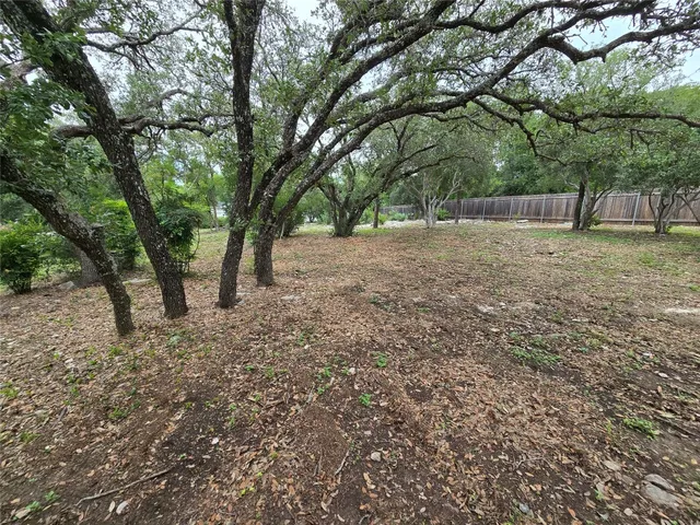 a view of backyard with tree