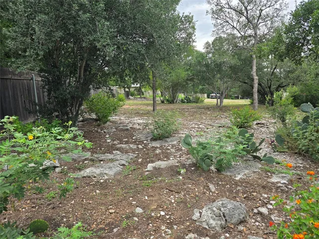 a view of outdoor space with lots of trees