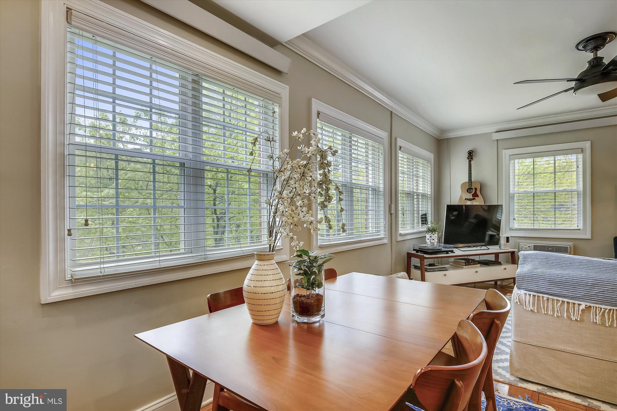 3520 Gunston Road Alexandria, VA 22302 - Photo 10 of 28 So Many Windows!