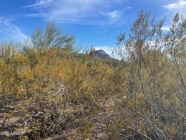 a view of city street with ocean view