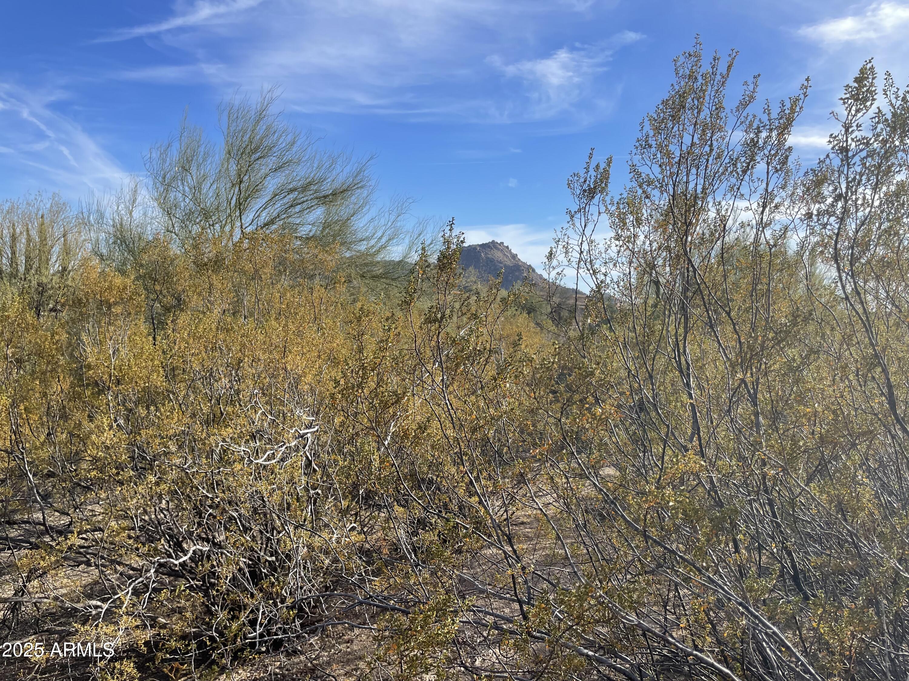 10935 East Mark Lane, Unit 75 Scottsdale, AZ 85262 - Photo 7 of 8