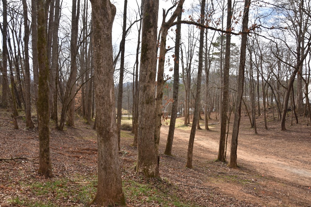 167 Swaims Road Hayesville, NC 28904 - Photo 13 of 69 a view of outdoor space with lots of trees