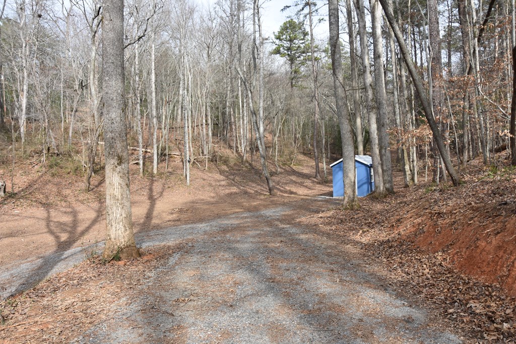 167 Swaims Road Hayesville, NC 28904 - Photo 18 of 69 a view of a yard with a tree