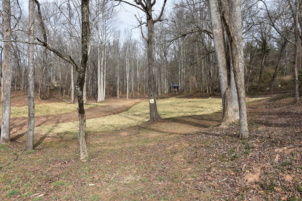 167 Swaims Road Hayesville, NC 28904 - Photo 2 of 69 a backyard of a house with lots of green space