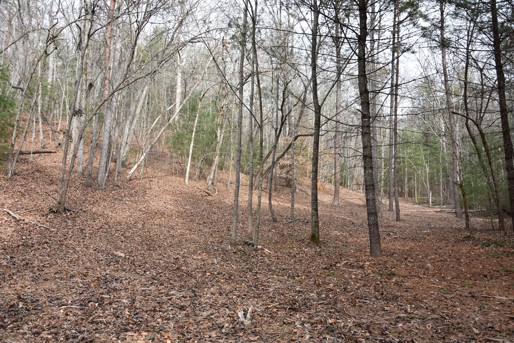 167 Swaims Road Hayesville, NC 28904 - Photo 29 of 69 a backyard of a house with lots of green space