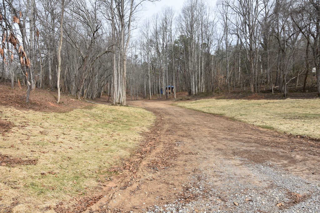167 Swaims Road Hayesville, NC 28904 - Photo 3 of 69 a view of a yard with trees