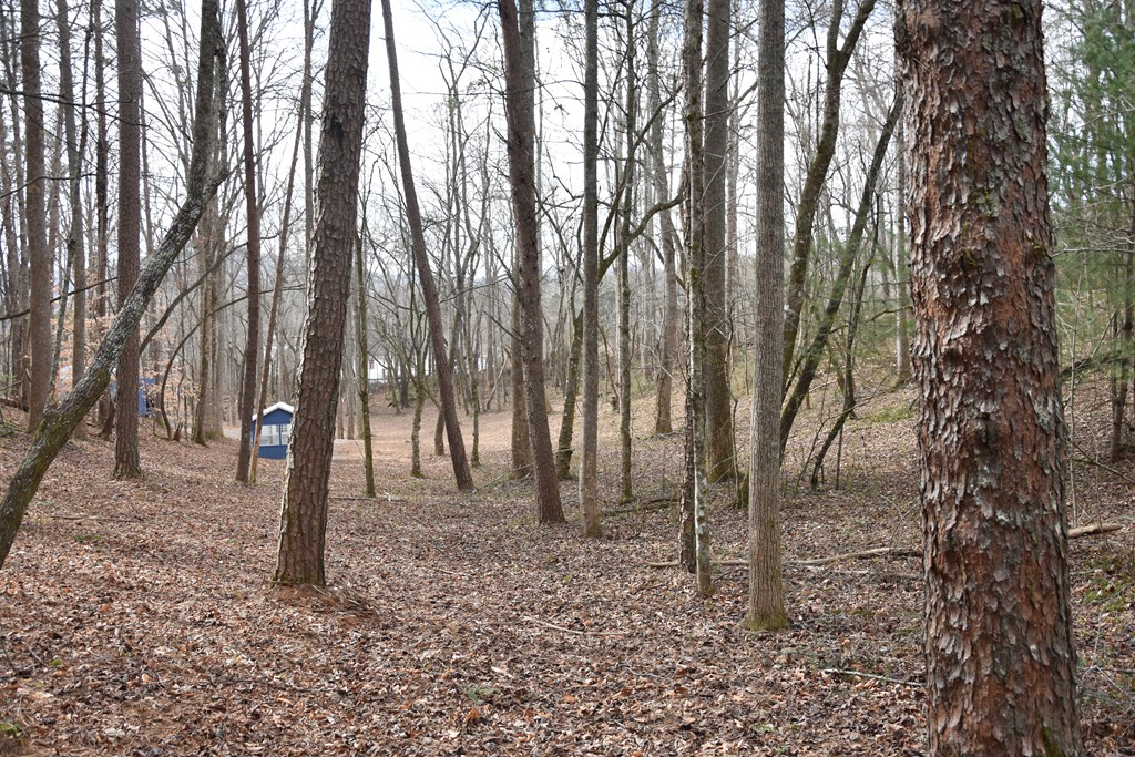 167 Swaims Road Hayesville, NC 28904 - Photo 31 of 69 a flag is sitting in the middle of forest