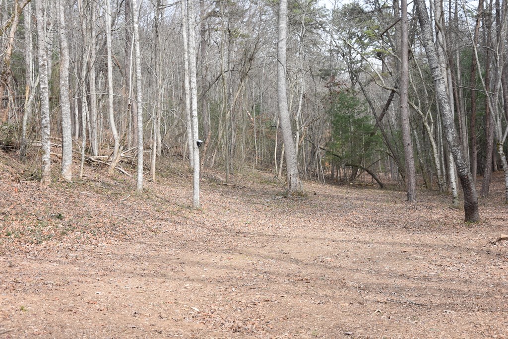 167 Swaims Road Hayesville, NC 28904 - Photo 32 of 69 a backyard of a house with lots of green space
