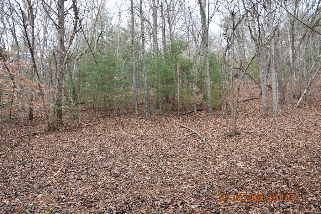 167 Swaims Road Hayesville, NC 28904 - Photo 33 of 69