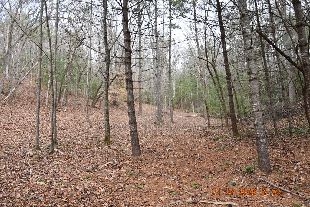 167 Swaims Road Hayesville, NC 28904 - Photo 34 of 69 a backyard of a house with lots of green space