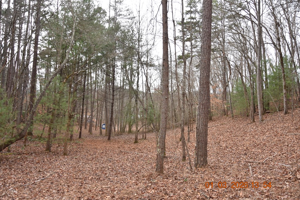 167 Swaims Road Hayesville, NC 28904 - Photo 36 of 69 a view of outdoor space with lots of trees