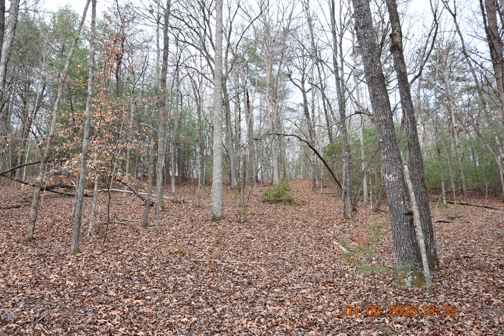 167 Swaims Road Hayesville, NC 28904 - Photo 37 of 69 a backyard of a house with lots of green space