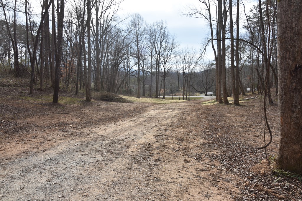 167 Swaims Road Hayesville, NC 28904 - Photo 4 of 69 a backyard of a house with lots of green space