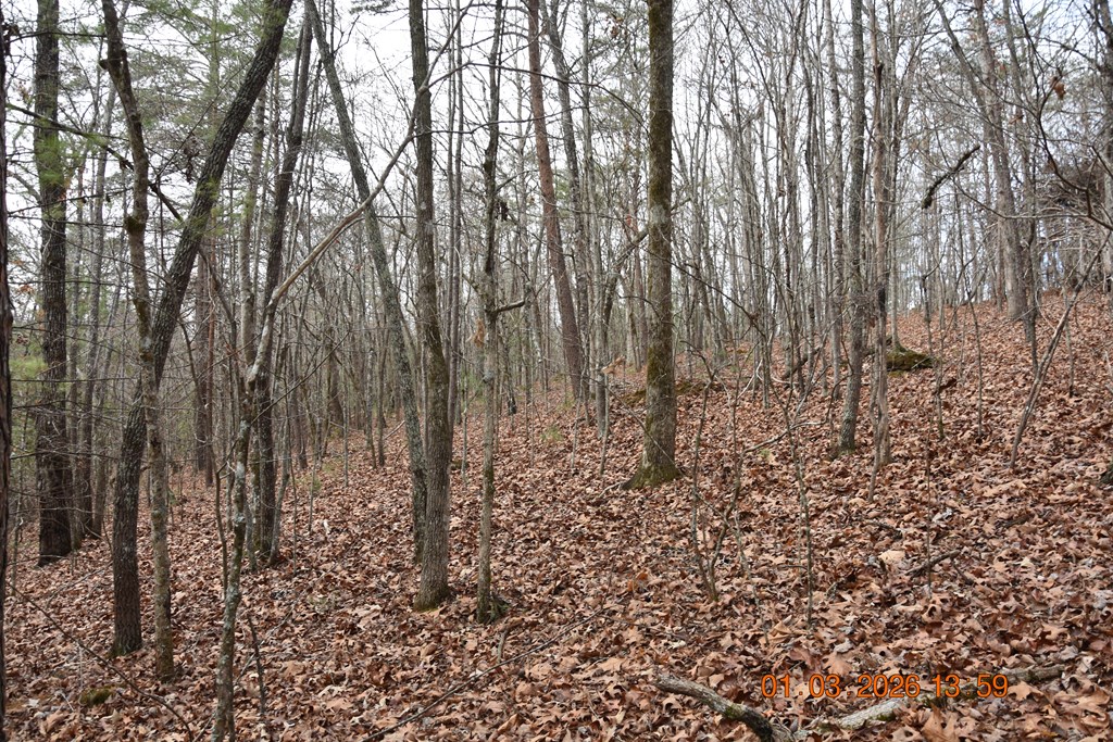 167 Swaims Road Hayesville, NC 28904 - Photo 41 of 69