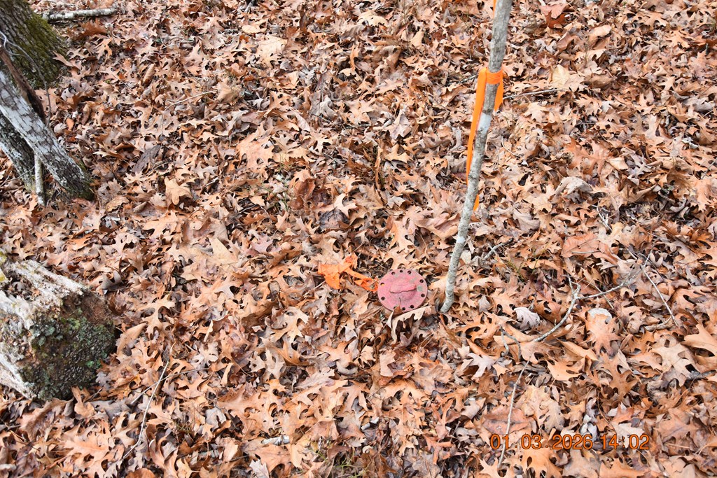 167 Swaims Road Hayesville, NC 28904 - Photo 49 of 69