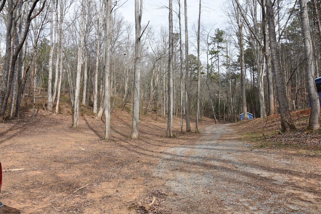 167 Swaims Road Hayesville, NC 28904 - Photo 5 of 69