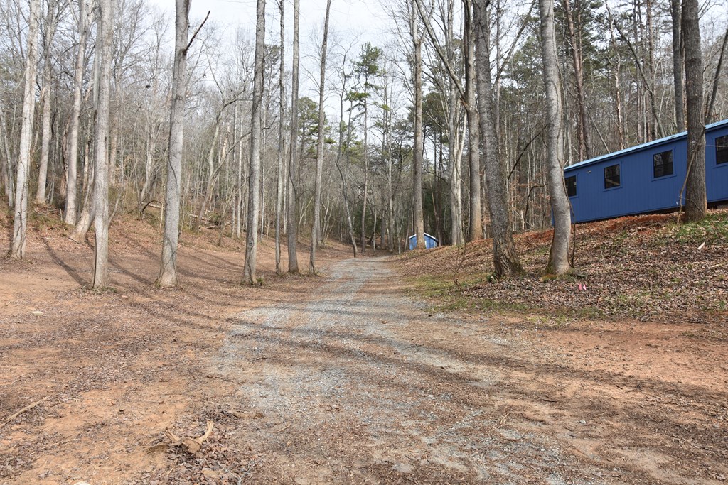 167 Swaims Road Hayesville, NC 28904 - Photo 6 of 69 a backyard of a house with lots of green space