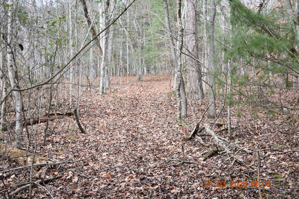 167 Swaims Road Hayesville, NC 28904 - Photo 61 of 69