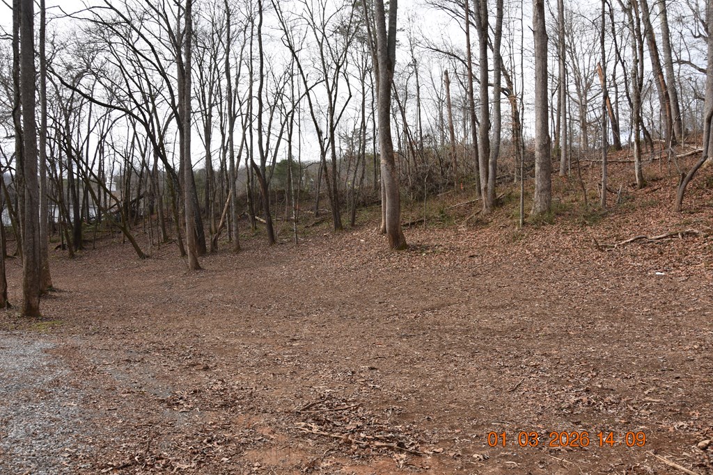 167 Swaims Road Hayesville, NC 28904 - Photo 64 of 69