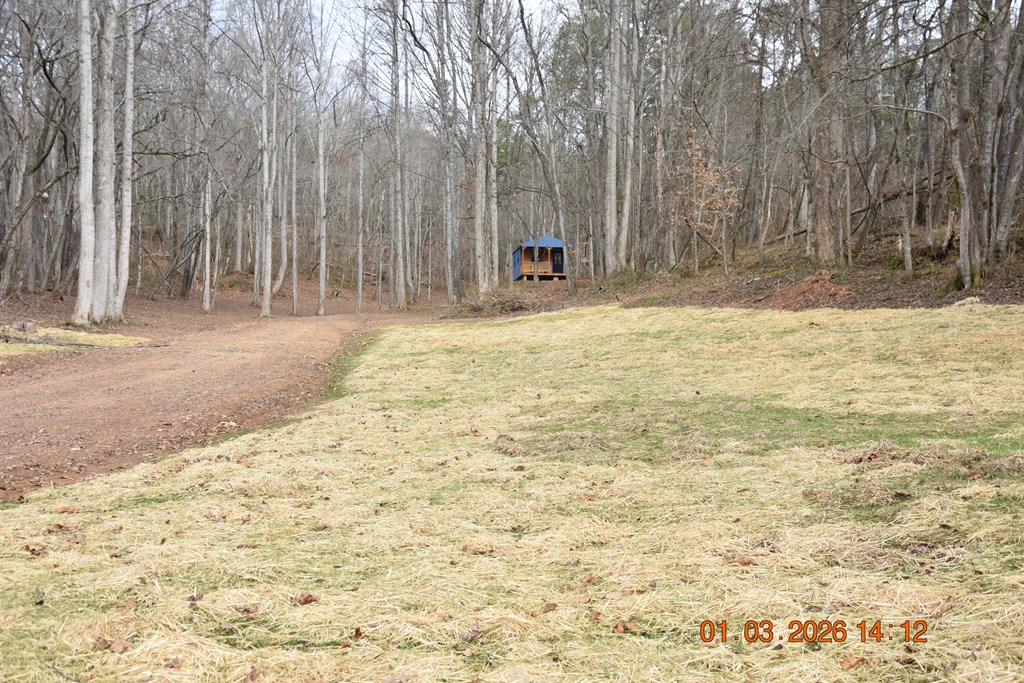 167 Swaims Road Hayesville, NC 28904 - Photo 66 of 69 a view of swimming pool with an outdoor space and seating area