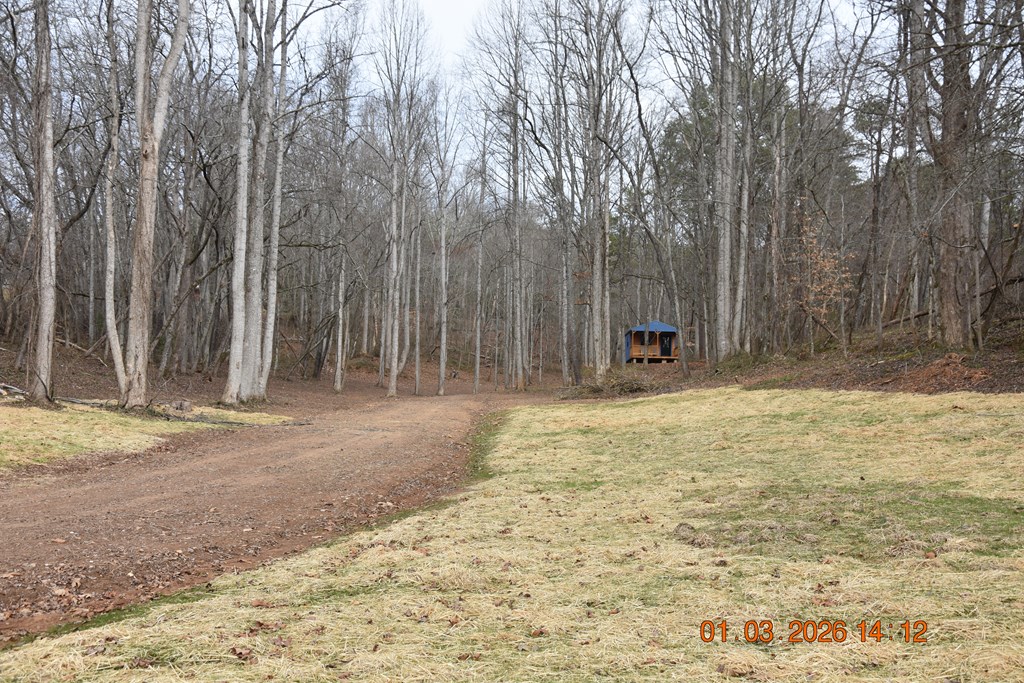 167 Swaims Road Hayesville, NC 28904 - Photo 67 of 69 a view of a backyard with large trees