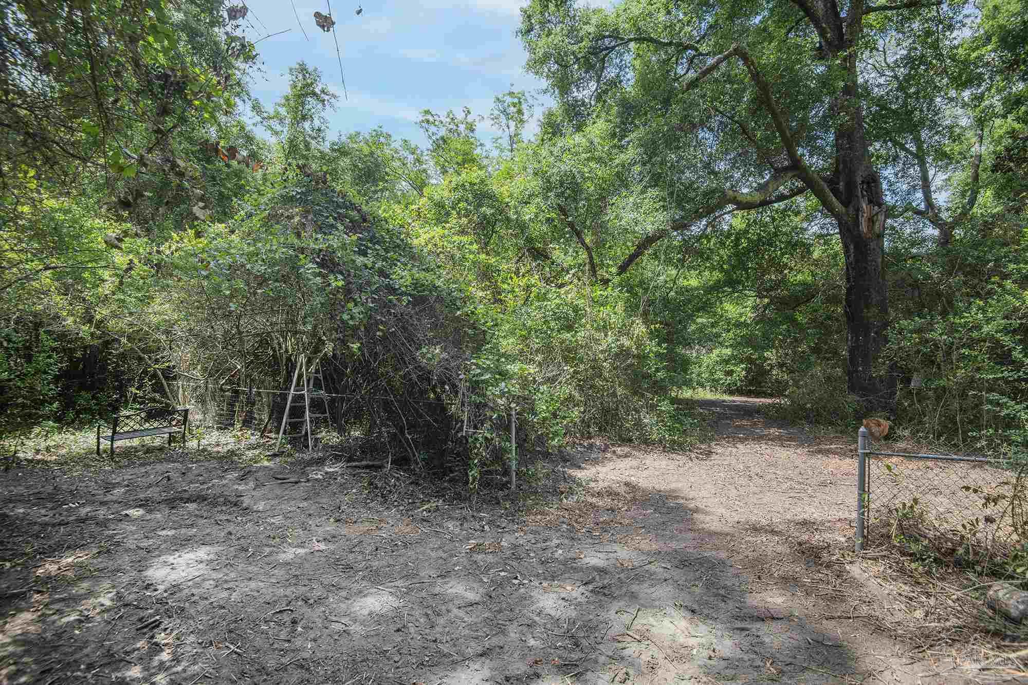 1210 Goldenrod Road Cantonment, FL 32533 - Photo 41 of 50 a view of a forest with trees in the background