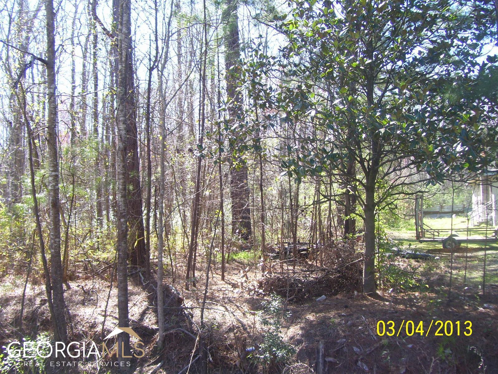 6.7-ac Chevis Road Savannah, GA 31419 - Photo 1 of 1 Gallery Image 1