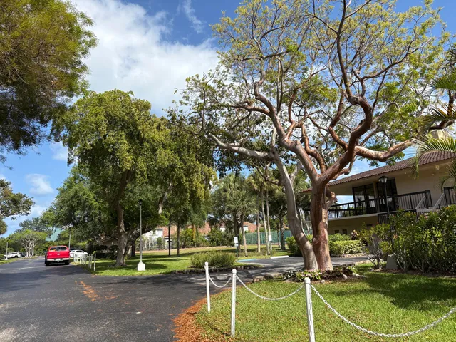 a cars parked on the side of a street