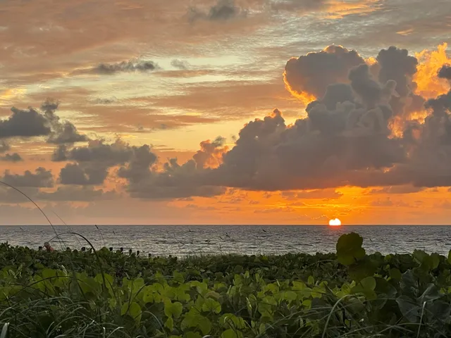 a view of houses with sky view