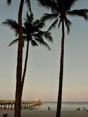 a view of a room with two chairs and a fan