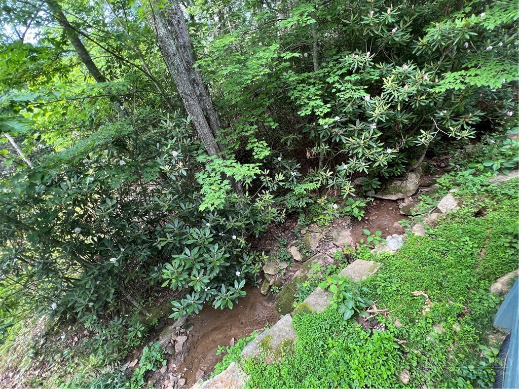 187 Little Creekside Road Banner Elk, NC 28604 - Photo 25 of 31