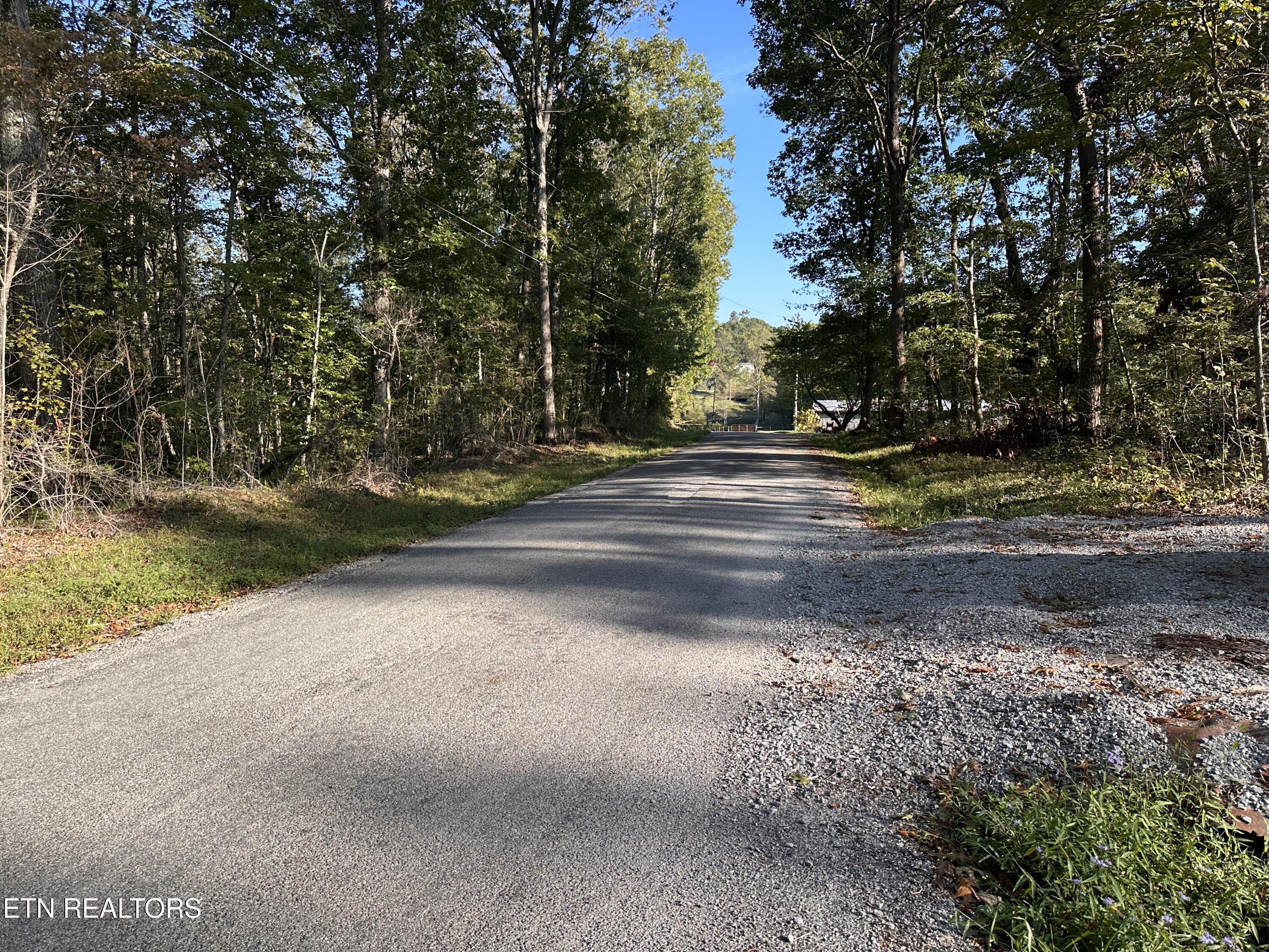 11.53-ac Government Pond Road Jamestown, TN 38556 - Photo 2 of 6 IMG_9654