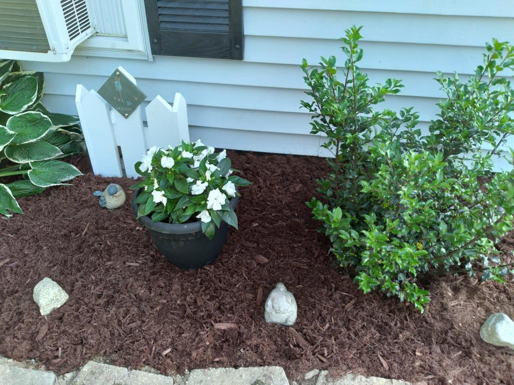 19 Pendleton Road Searsport, ME 04974 - Photo 32 of 37 labonte1