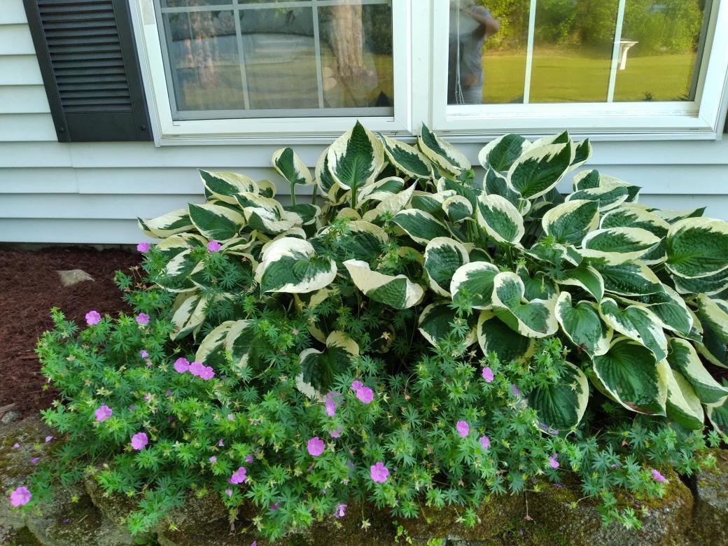 19 Pendleton Road Searsport, ME 04974 - Photo 36 of 37 labonte5