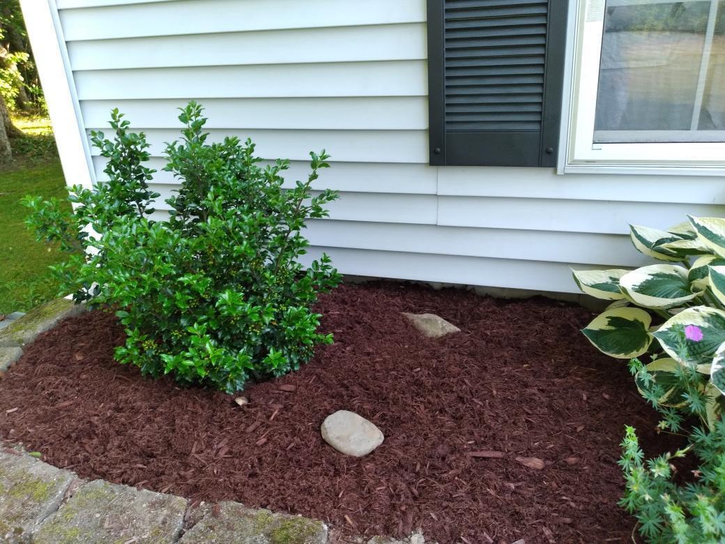 19 Pendleton Road Searsport, ME 04974 - Photo 37 of 37 labonte6