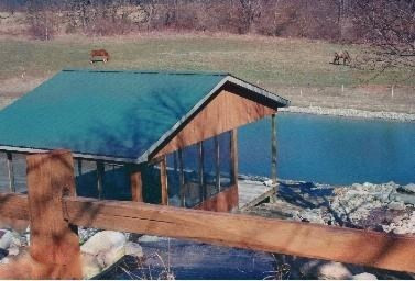 7605 Wolf Road Bellevue, MI 49021 - Photo 3 of 23 wolf rd 7