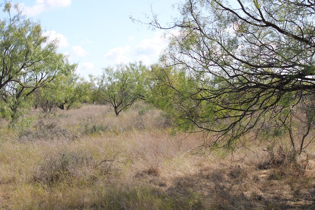 0 County Road Talpa, TX 76882 - Photo 9 of 22 Photo 9
