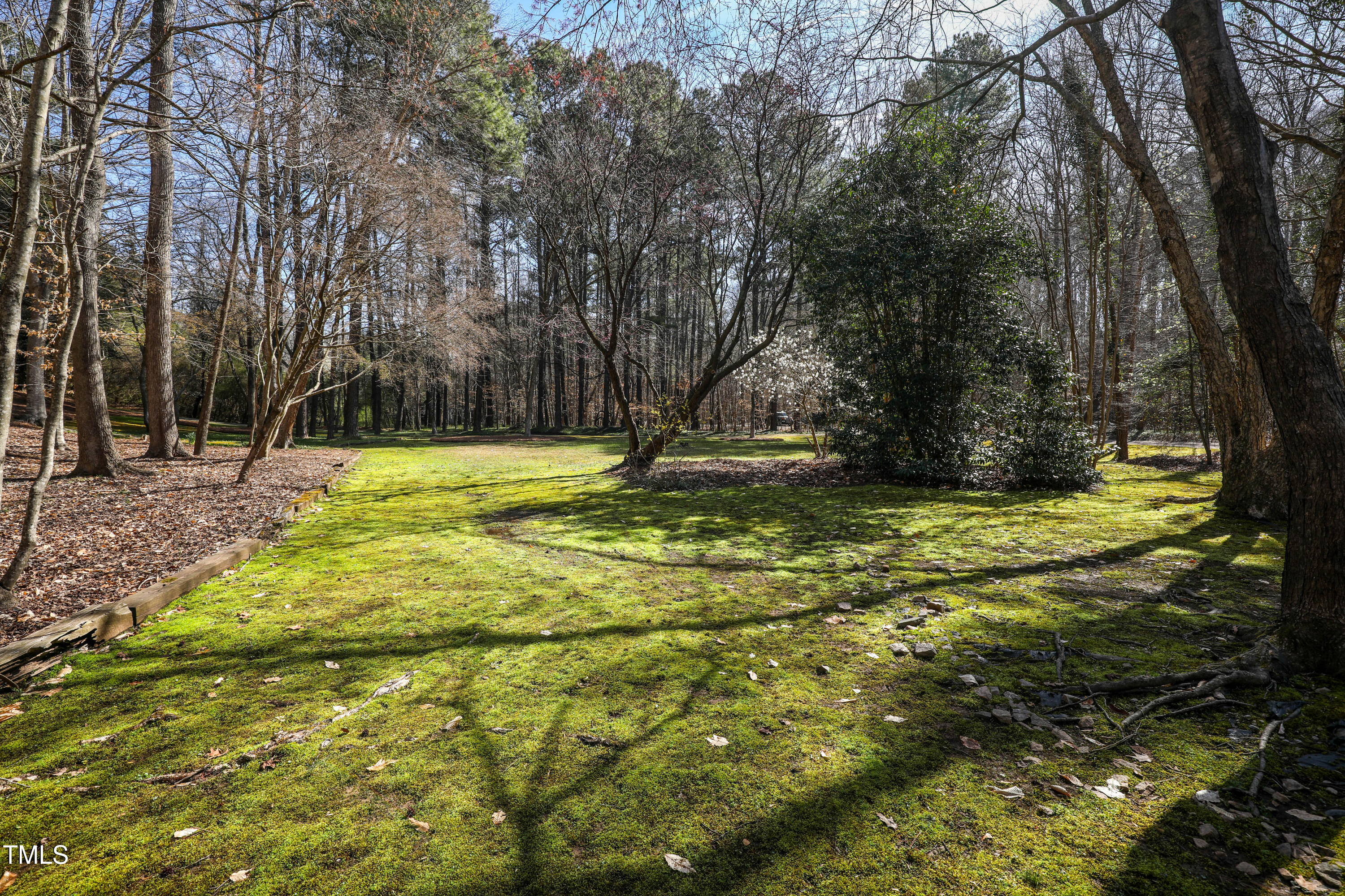 7409 Birch Tree Lane Wake Forest, NC 27587 - Photo 11 of 72 9