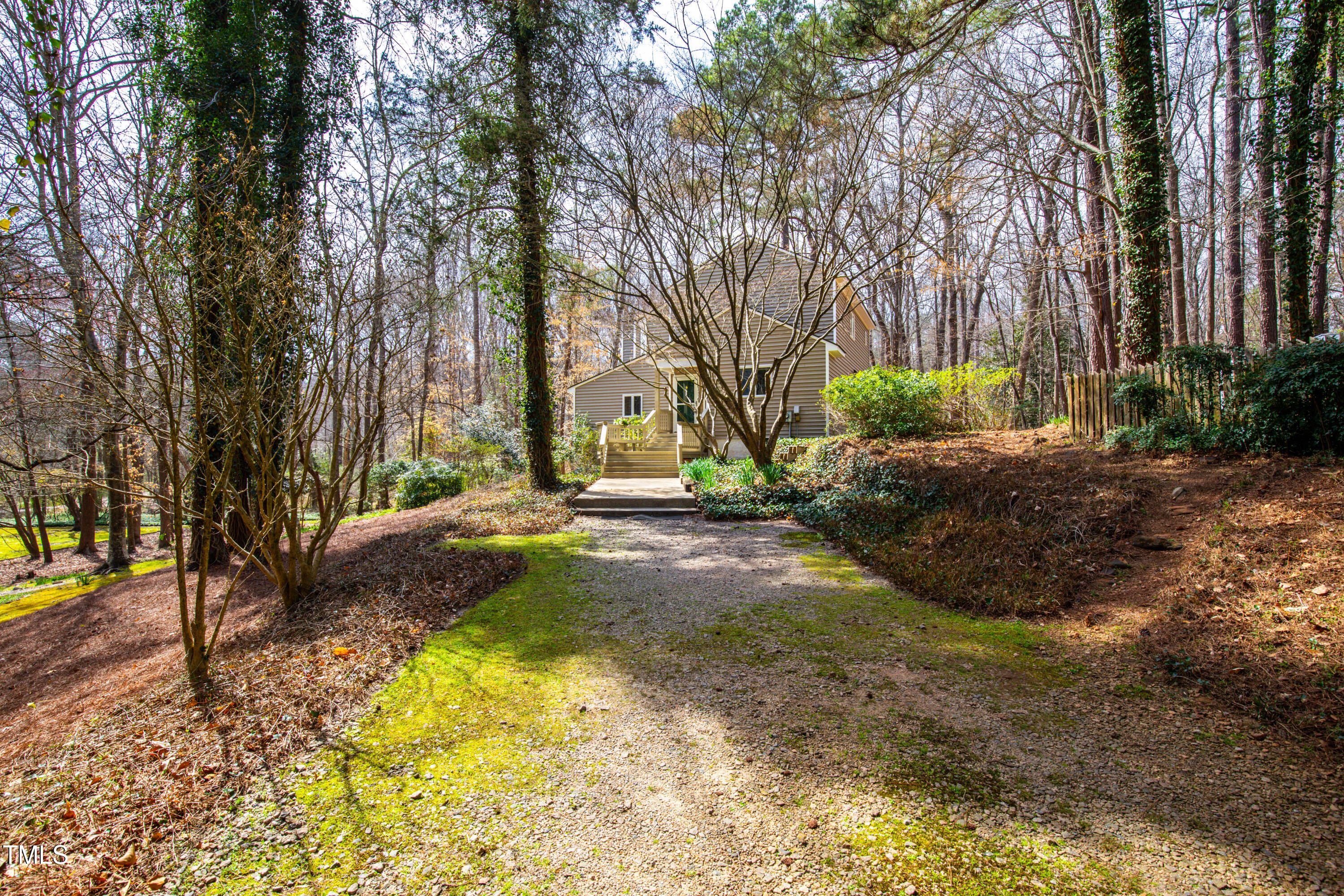 7409 Birch Tree Lane Wake Forest, NC 27587 - Photo 14 of 72 a view of yard with tree