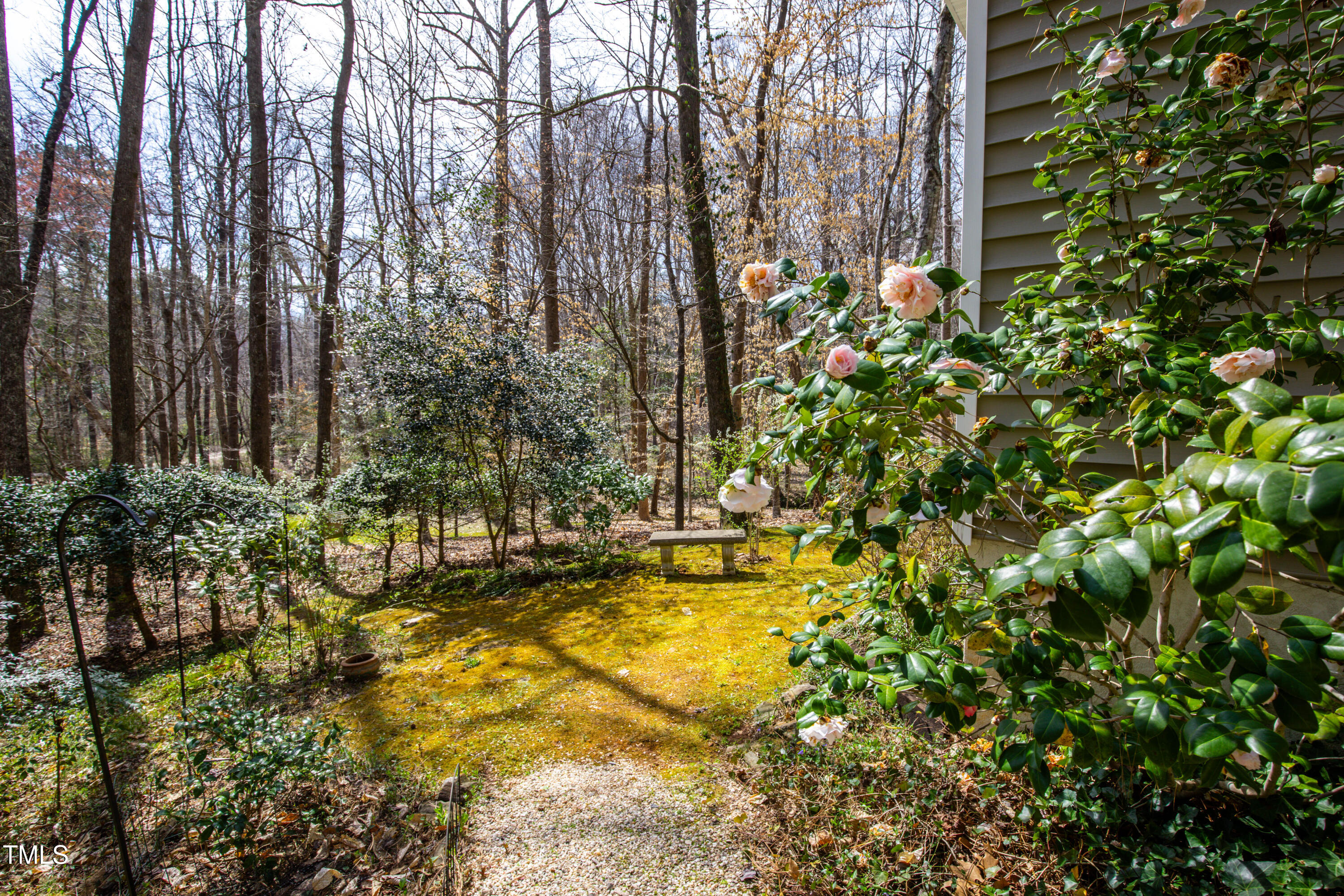 7409 Birch Tree Lane Wake Forest, NC 27587 - Photo 19 of 72 17